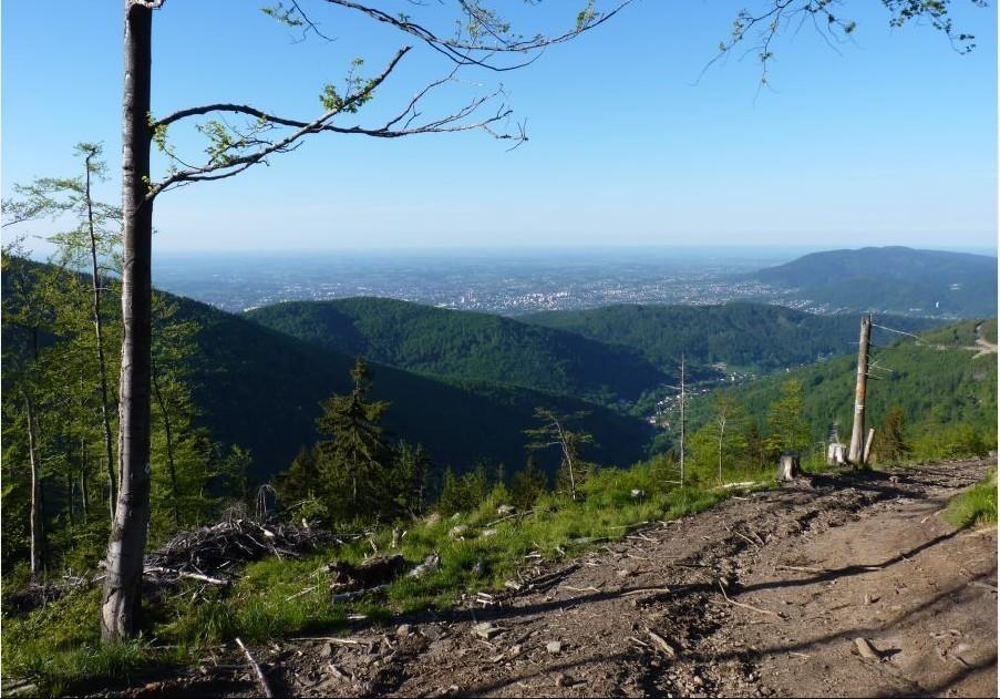 Willa Pod Modrzewiem Szczyrk Oda fotoğraf